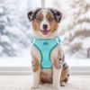 American River Choke Free Dog Harness Holiday Collection