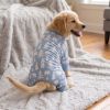 Soft Dog Pajamas